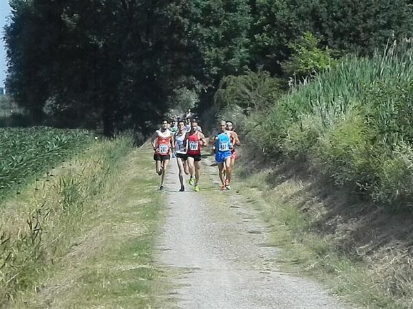 Premi per vedere l'immagine alla massima grandezza