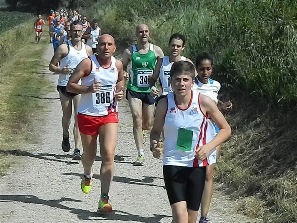 Premi per vedere l'immagine alla massima grandezza