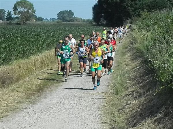 Premi per vedere l'immagine alla massima grandezza