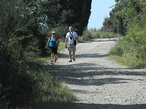 Premi per vedere l'immagine alla massima grandezza