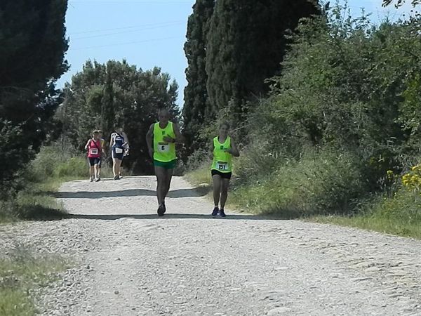 Premi per vedere l'immagine alla massima grandezza