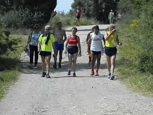 Premi per vedere l'immagine alla massima grandezza