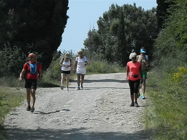 Premi per vedere l'immagine alla massima grandezza