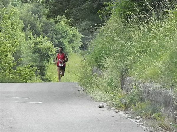 Premi per vedere l'immagine alla massima grandezza